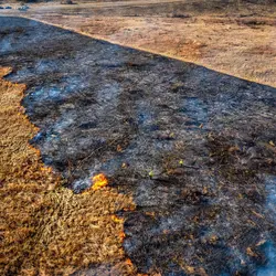 January 2020 (The Wilds)